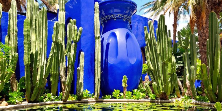 Jardin Majorelle, Marrakech, bleu intense, verdure luxuriante